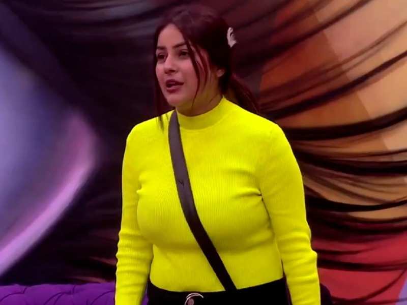 bigg boss 13 finalist