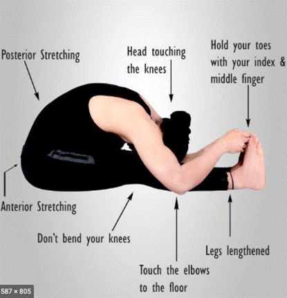 yoga for sleep