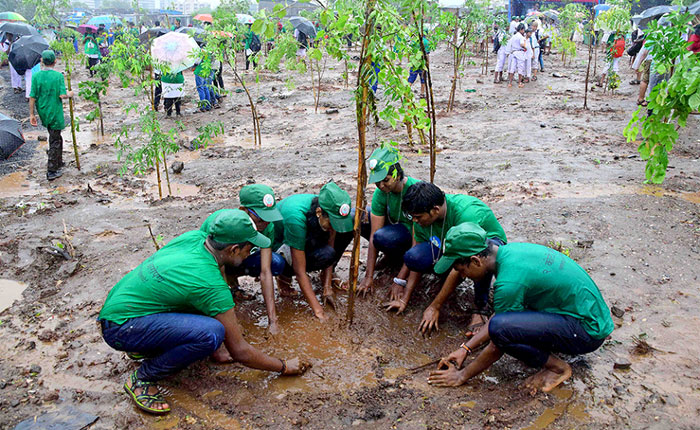 Delhi Gurudwaras To Give seeds to people as prasad.