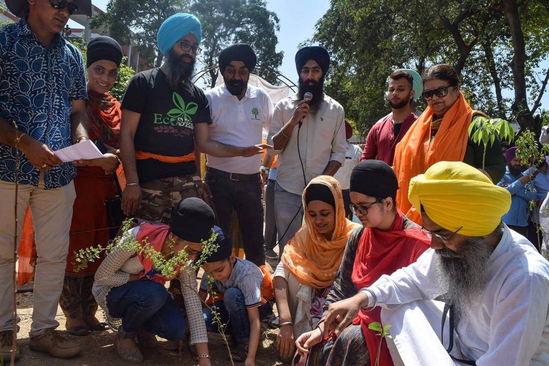 Delhi Gurudwaras To Give seeds to people as prasad.